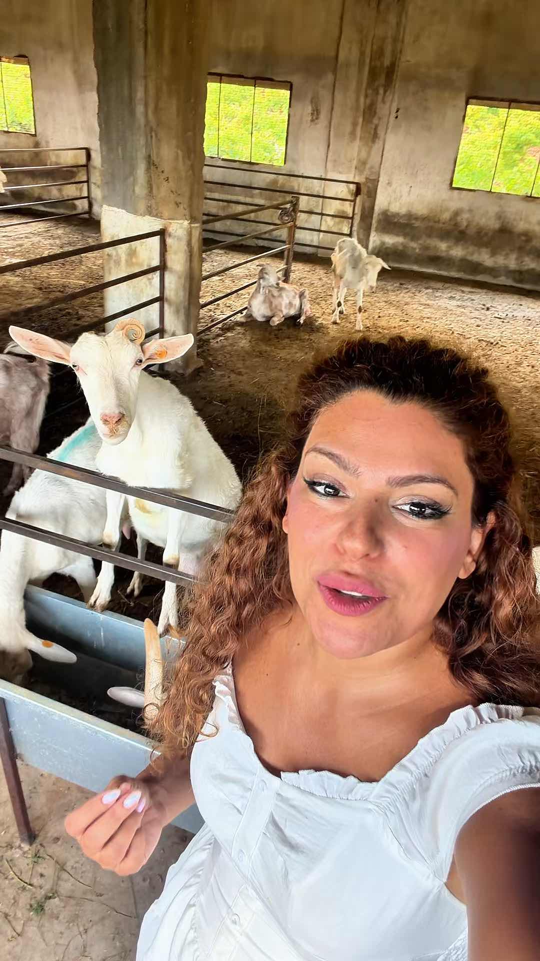 Brunch at a goat farm in Kefraya